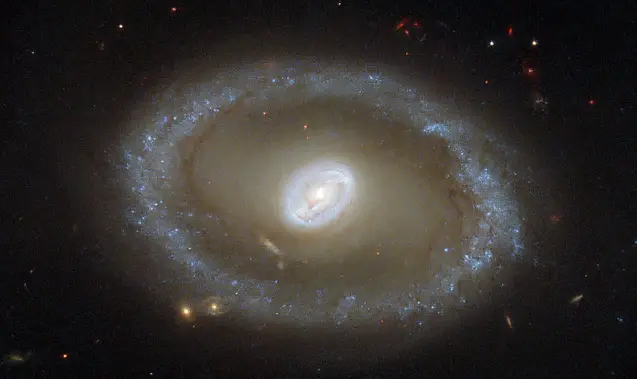 Hubble Eyes Golden Rings