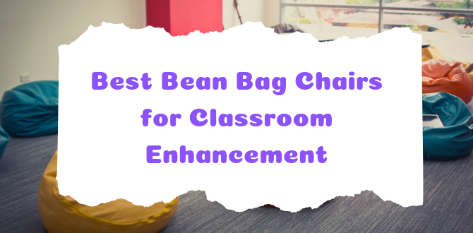 11 Best Bean Bag Chairs for Classroom Enhancement