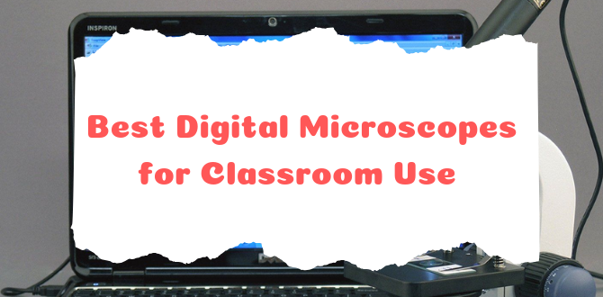 Best Digital Microscopes for Classroom Use