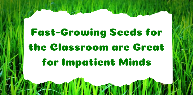 Fast-Growing Seeds for Classroom Projects