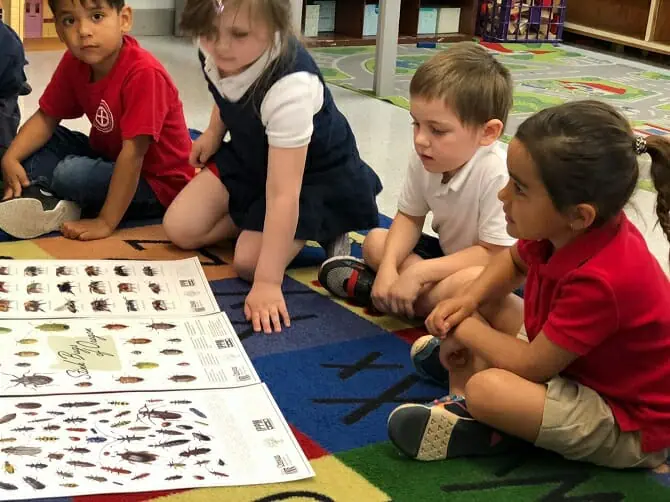 Classroom rugs