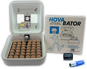 HovaBator Deluxe Egg Incubator Combo Kit