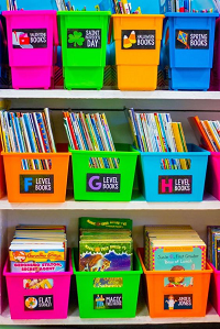 Organize and Label the Books