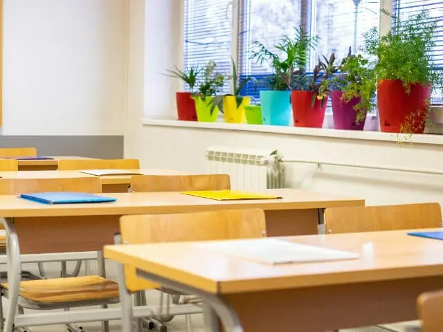 classroom with live plants in colorful pots