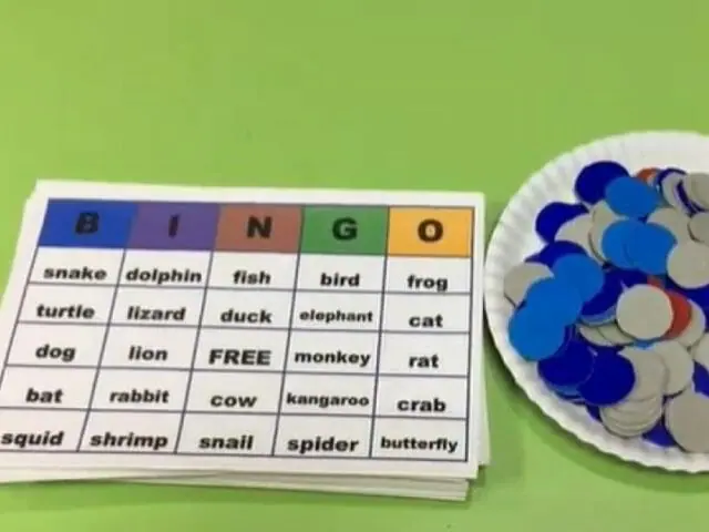 bingo card activity in class
