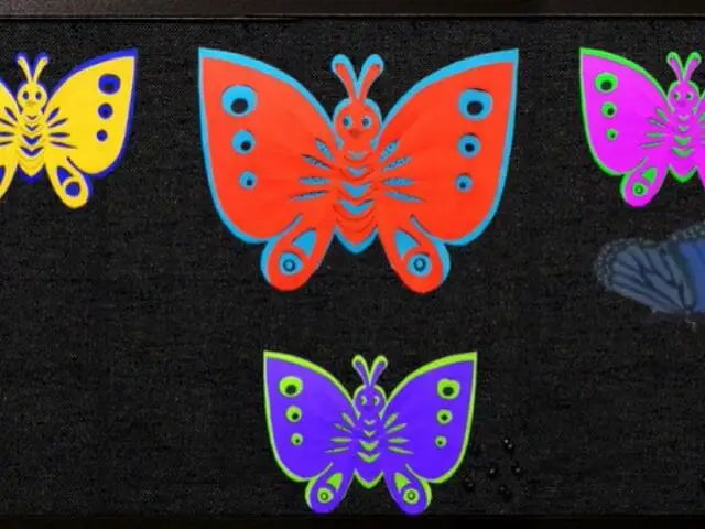 butterflies design on bulletin board