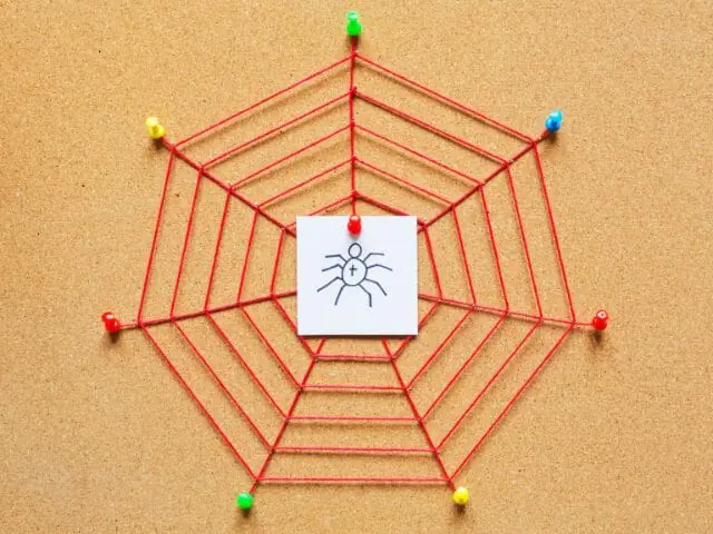 spider web on cork bulletin board